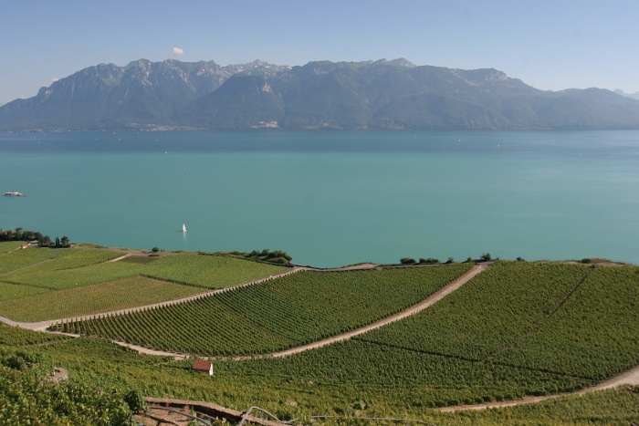 Lavaux - 009